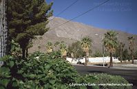 USA-California-Palm-Springs-200109-43.jpg