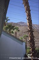 USA-California-Palm-Springs-200109-47.jpg