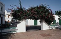 Spanien-Kanarische-Lanzarote-Haria-199406-242.jpg