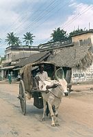 IND-Hyderabad-1974-103.jpg