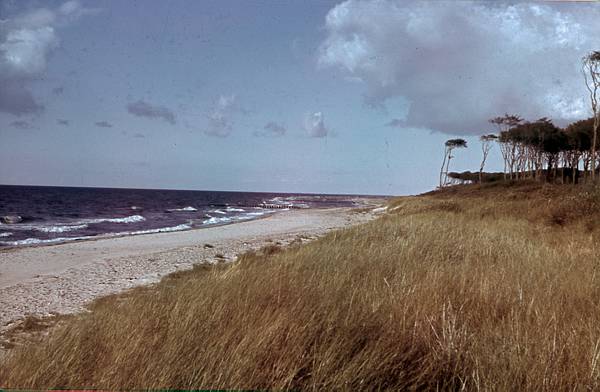 1940. Mecklenburg-Vorpommern. Darß. Ostsee. Strand. Küste