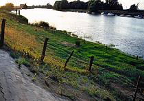 30. 5. 1993. Niedersachsen. Hemmoor. Osten. Deich am Fluss Oste. Zaun