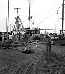 August 1988. Insel Mön. Dänemark. Fischerboote im Hafen von Ulfshale. Ein Fischer repariet ein Netz.