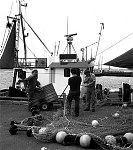 August 1988. Insel Mön. Dänemark. Fischerboote im Hafen von Ulfshale. Fischer beim Reparieren eines Netzes