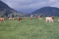 1987. Österreich. Kärnten. Alpen. Berge  Berge -  Austria. Alps. Mountains