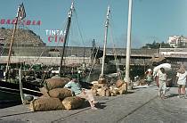 1968. Portugal. Insel Madeira. Schiffe. Hafenszene. Mann auf Säcken