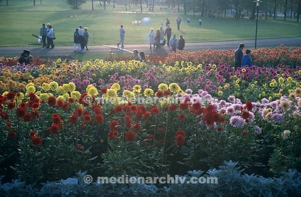 1992. Berlin. Flora. Pflanzen. Blumen