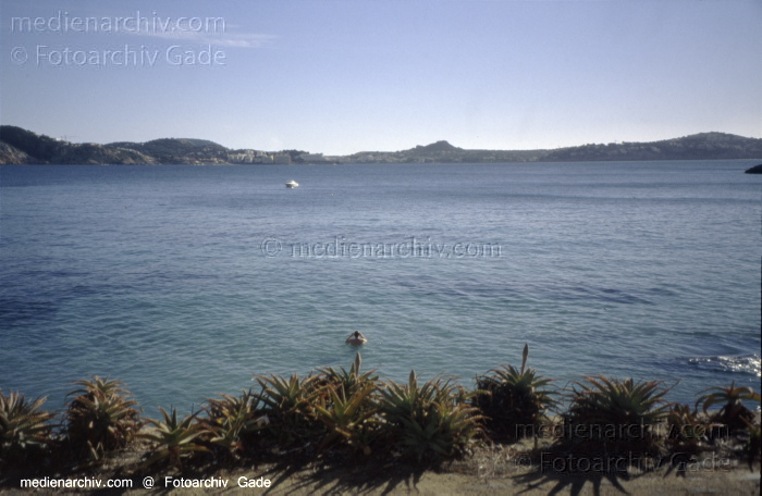 Spanien. Mallorca. Cala Fornells
2005. Spanien.  Balerarische Inseln. Mallorca. Cala Fornells - Spain. Balearic Islands. Majorca. Mallorca - España.  Archipiélago Balear
Schlüsselwörter: 2005;Balearen;Balearic Islands;Balearische Inseln;Baltic Sea;Cala Fornells;Coast;Küste;Majorca;Mallorca;Meer;Mittelmeer;Spain;Spanien