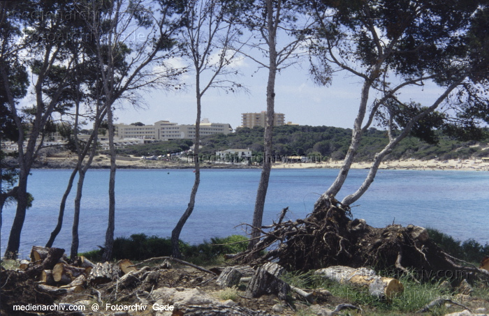 Spanien. Mallorca. Cala Millor
2005. Spanien. Balerarische Inseln. Mallorca. Cala Millor -  Spain. Balearic Islands. Majorca. Mallorca - España.  Archipiélago Balear
Schlüsselwörter: 2005;Balearen;Balearic Islands;Balearische Inseln;Baltic Sea;Cala Millor;Coast;Küste;Majorca;Mallorca;Meer;Mittelmeer;Spain;Spanien