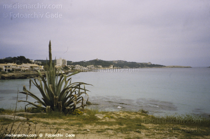 Spanien. Insel Mallorca. Cale Ratjada
2005. Spanien.  Balerarische Inseln. Mallorca. Cale Ratjada - 
Spain. Balearic Islands. Majorca. Mallorca - España.  Archipiélago Balear
Schlüsselwörter: 2005;Balearen;Balearic Islands;Balearische Inseln;Baltic Sea;Cala Ratjada;Coast;Küste;Majorca;Mallorca;Meer;Mittelmeer;Spain;Spanien