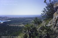 Spanien-Mallorca-Cala-Millor-2005-112.jpg