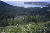 Spanien-Mallorca-Cala-Millor-2005-113.jpg