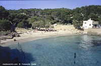 Spanien-Mallorca-Cala-Millor-2005-125.jpg