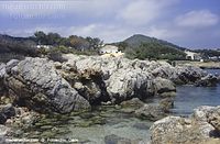 Dateiname=Spanien-Mallorca-Cala-Millor-2005-131.jpg
Dateigröße=218KB
Abmessungen: 700x459
hinzugefügt am: 25. März 2014 Spanien-Mallorca-Cala-Millor-2005-131.jpg