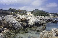 Spanien-Mallorca-Cala-Millor-2005-131.jpg