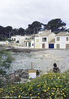 Dateiname=Spanien-Mallorca-Cala-Millor-2005-133.jpg
Dateigröße=225KB
Abmessungen: 492x700
hinzugefügt am: 25. März 2014 Spanien-Mallorca-Cala-Millor-2005-133.jpg