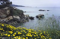Dateiname=Spanien-Mallorca-Cala-Millor-2005-134.jpg
Dateigröße=196KB
Abmessungen: 700x456
hinzugefügt am: 25. März 2014 Spanien-Mallorca-Cala-Millor-2005-134.jpg