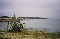 Spanien-Mallorca-Cala-Rajada-2005-164.jpg