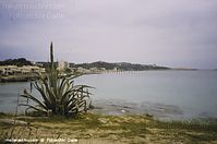 Dateiname=Spanien-Mallorca-Cala-Rajada-2005-164.jpg
Dateigröße=178KB
Abmessungen: 700x465
hinzugefügt am: 25. März 2014 Spanien-Mallorca-Cala-Rajada-2005-164.jpg