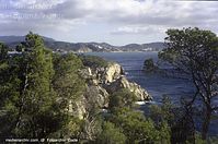 Spanien-Mallorca-Cap-Andrixol-2003-186.jpg