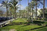 Spanien-Mallorca-Palma-2005-245.jpg
