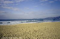 Spanien-Mallorca-Palma-2005-260.jpg