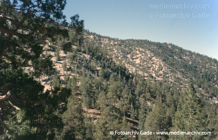Kalifornien. Landschaft beim Angeles Crest Highway
2004. USA. Kalifornien. Landschaft beim Angeles Crest Highway. California
Schlüsselwörter: 2004;Angeles Crest;California;Kalifornien;Nordamerika;United States of America;USA;Vereinigte Staaten