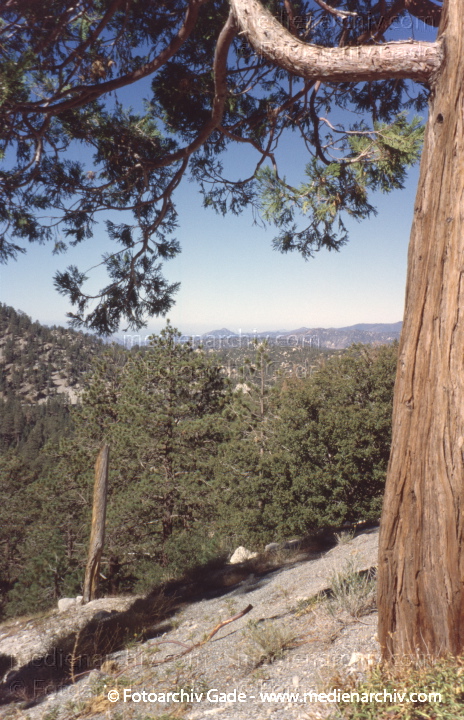 Kalifornien. Landschaft beim Angeles Crest Highway
2004. USA. Kalifornien. Landschaft beim Angeles Crest Highway. California
Schlüsselwörter: 2004;Angeles Crest;California;Kalifornien;Nordamerika;United States of America;USA;Vereinigte Staaten