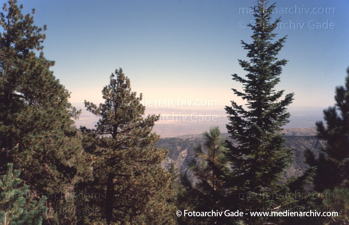 Kalifornien. Landschaft beim Angeles Crest Highway
2004. USA. Kalifornien. Landschaft beim Angeles Crest Highway. California
Schlüsselwörter: 2004;Angeles Crest;California;Kalifornien;Nordamerika;United States of America;USA;Vereinigte Staaten
