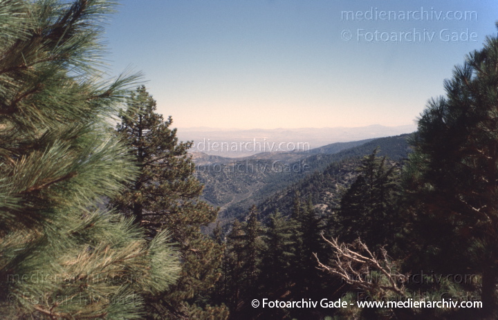Kalifornien. Landschaft beim Angeles Crest Highway
2004. USA. Kalifornien. Landschaft beim Angeles Crest Highway. California
Schlüsselwörter: 2004;Angeles Crest;California;Kalifornien;Nordamerika;United States of America;USA;Vereinigte Staaten