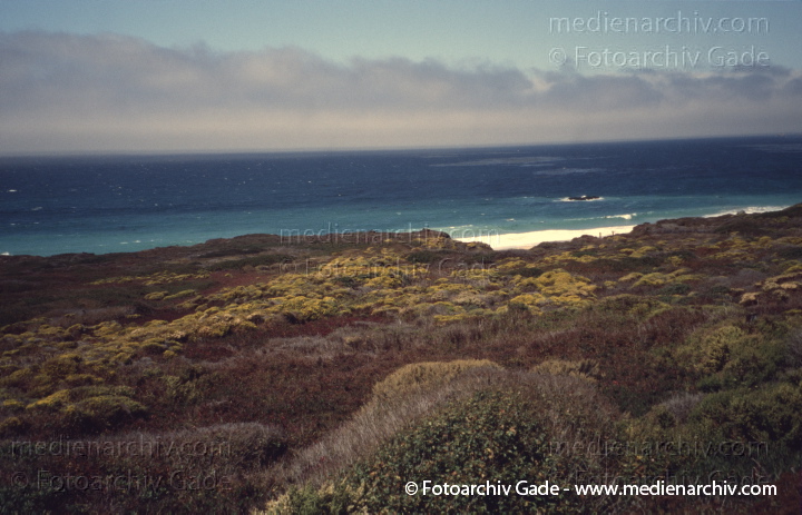 USA. Kalifornien. California State Route 1. Pacific Coast Highway
2004. USA. Kalifornien. California State Route 1. Highway 1. Pacific Coast Highway
Schlüsselwörter: 2004;California;California State Route 1;Highway 1;Kalifornien;Nordamerika;United States of America;USA;Vereinigte Staaten;Pacific Coast Highway