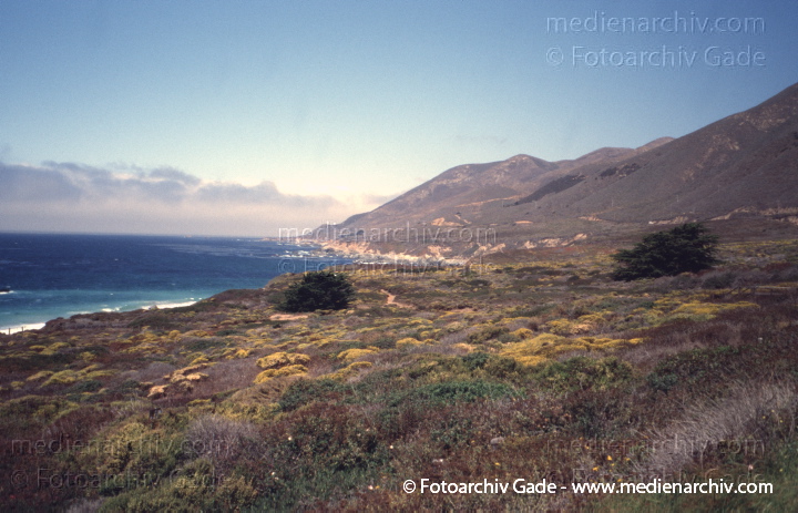 USA. Kalifornien. California State Route 1. Pacific Coast Highway
2004. USA. Kalifornien. California State Route 1. Highway 1. Pacific Coast Highway
Schlüsselwörter: 2004;California;California State Route 1;Highway 1;Kalifornien;Nordamerika;United States of America;USA;Vereinigte Staaten;Pacific Coast Highway