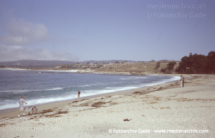 USA. Kalifornien. California State Route 1. Pacific Coast Highway
2004. USA. Kalifornien. California State Route 1. Highway 1. Pacific Coast Highway
Schlüsselwörter: 2004;California;California State Route 1;Highway 1;Kalifornien;Nordamerika;United States of America;USA;Vereinigte Staaten;Pacific Coast Highway