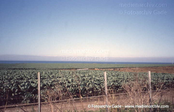 USA. Kalifornien. California State Route 1. Pacific Coast Highway
2004. USA. Kalifornien. California State Route 1. Highway 1. Pacific Coast Highway
Schlüsselwörter: 2004;California;California State Route 1;Highway 1;Kalifornien;Nordamerika;United States of America;USA;Vereinigte Staaten;Pacific Coast Highway
