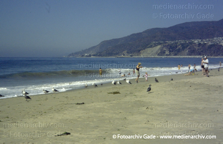 USA. Kalifornien. Malibu
2006. USA. Kalifornien. Malibu
Schlüsselwörter: 2006;Amerika;beach;Kalifornien;Malibu;Meer;Nordamerika;Pazifik;Strand;USA
