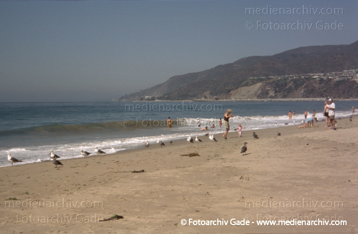 Kalifornien. Malibu. California
2004.  Kalifornien. Malibu. California
Schlüsselwörter: Malibu;2004