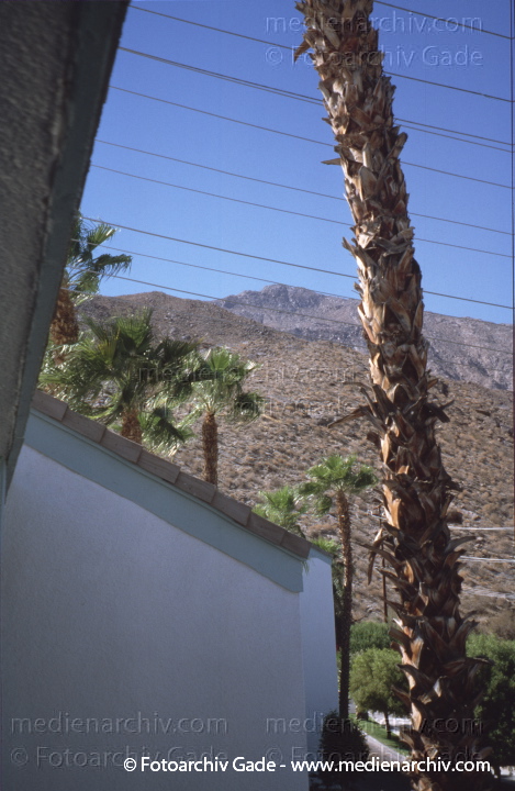 Kalifornien. Palm Springs. California
2001. USA. Kalifornien. Palm Springs. California
Schlüsselwörter: California;Kalifornien;Nordamerika;United States of America;USA;Vereinigte Staaten;Palm Springs;2001