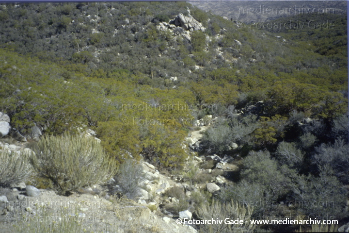 USA. Kalifornien. San Bernadino
2001. USA. Kalifornien. San Bernadino
Schlüsselwörter: 2001;Amerika;Kalifornien;Nordamerika;San Bernadino;USA