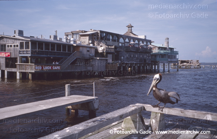 USA. Florida. Cedar Key
2003. USA. Florida. Cedar Key
Schlüsselwörter: Florida;Nordamerika;United States of America;USA;Vereinigte Staaten;2003;Cedar KEy