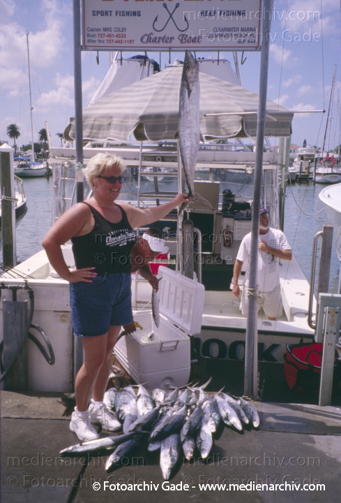 USA. Florida. Clearwater
2003. USA. Florida. Clearwater
Schlüsselwörter: Florida;Nordamerika;United States of America;USA;Vereinigte Staaten;2003;Clearwater
