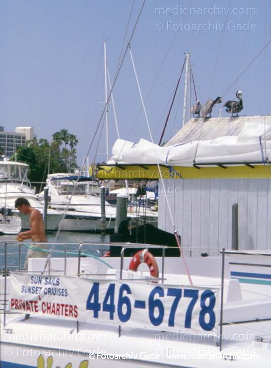 USA. Florida. Clearwater
2003. USA. Florida. Clearwater
Schlüsselwörter: Florida;Nordamerika;United States of America;USA;Vereinigte Staaten;2003;Clearwater