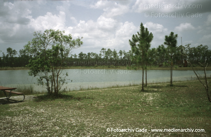 USA. Florida. Everglades
2000. USA. Florida. Everglades Nationalpark. Tropisches Marschland
Schlüsselwörter: Florida;Nordamerika;United States of America;USA;Vereinigte Staaten;2000;Everglades