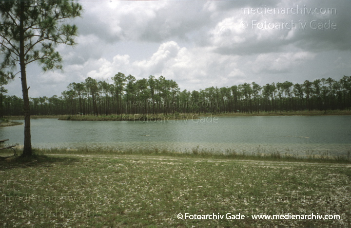 USA. Florida. Everglades
2000. USA. Florida. Everglades Nationalpark. Tropisches Marschland
Schlüsselwörter: Florida;Nordamerika;United States of America;USA;Vereinigte Staaten;2000;Everglades