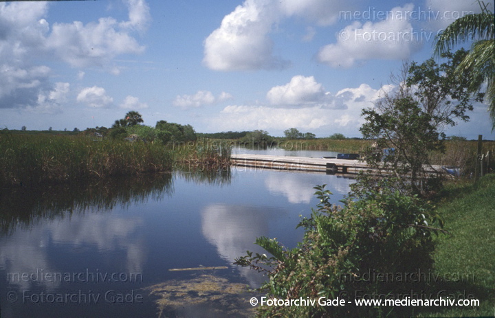 USA. Florida. Everglades
2003. USA. Florida. Everglades Nationalpark. Tropisches Marschland
Schlüsselwörter: Florida;Nordamerika;United States of America;USA;Vereinigte Staaten;2003;Everglades