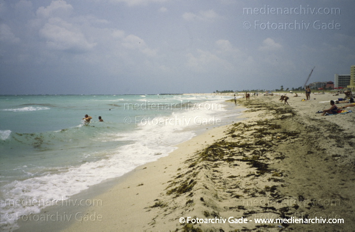 USA. Florida. Miami
2000. USA. Florida. Miami
Schlüsselwörter: 2000;Amerika;Atlantik;Florida;Meer;Miami;Nordamerika;USA