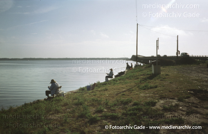 USA. Florida. Ocala
2000. USA. Florida. Ocala
Schlüsselwörter: Florida;Nordamerika;United States of America;USA;Vereinigte Staaten;2000;Ocala