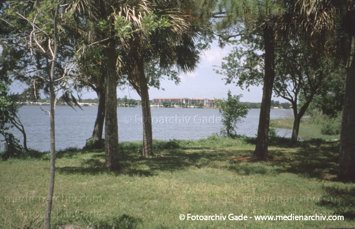 USA. Florida. Pinellas Park
2003. USA. Florida. Pinellas Park
Schlüsselwörter: Florida;Nordamerika;United States of America;USA;Vereinigte Staaten;2003;Pinellas Park