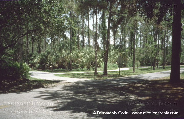 USA. Florida. Pinellas Park
2003. USA. Florida. Pinellas Park
Schlüsselwörter: Florida;Nordamerika;United States of America;USA;Vereinigte Staaten;2003;Pinellas Park