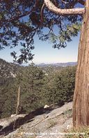 USA-California-Angeles-Crest-2004-13.jpg