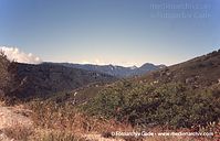 USA-California-Angeles-Crest-2004-15.jpg